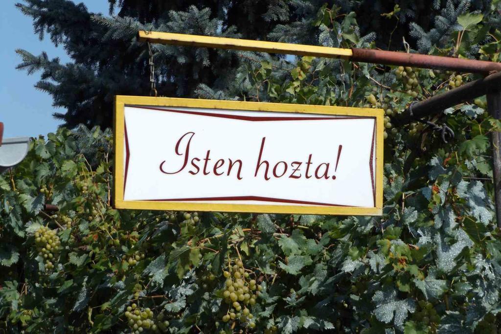Opusztaszeri Mozes Vendeghaz Ξενοδοχείο Εξωτερικό φωτογραφία